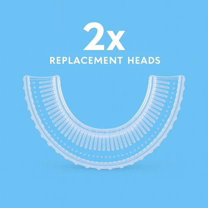 BrushBuddy Replacement Head
