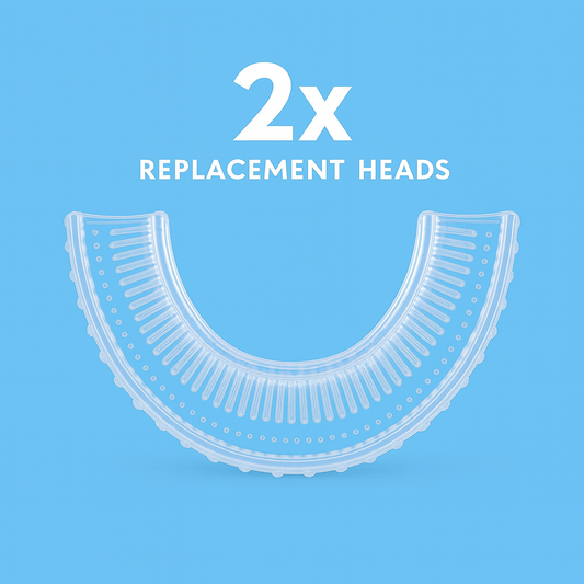 BrushBuddy Replacement Head